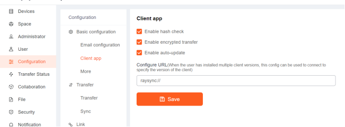 How to Secure Cloud Storage Data with Raysync